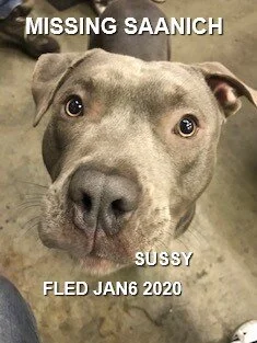 UNRESOLVED - (CUSTODY ISSUE) SAANICH BC - JAN 6, 2020
