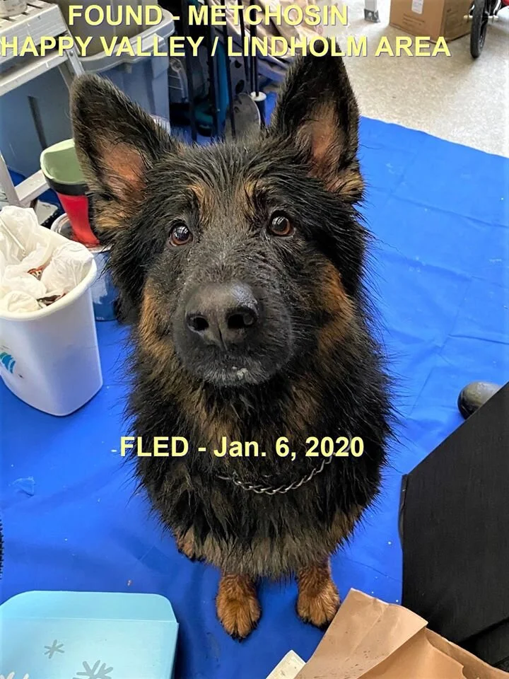 HAPPY ENDING - METCHOSIN BC - JAN 6, 2020