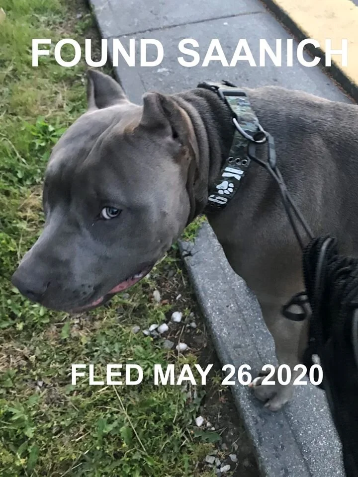 HAPPY ENDINGS - SAANICH BC - May 26, 2020