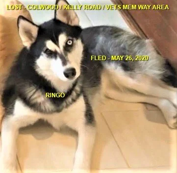 HAPPY ENDINGS - COLWOOD BC - MAY 26, 2020