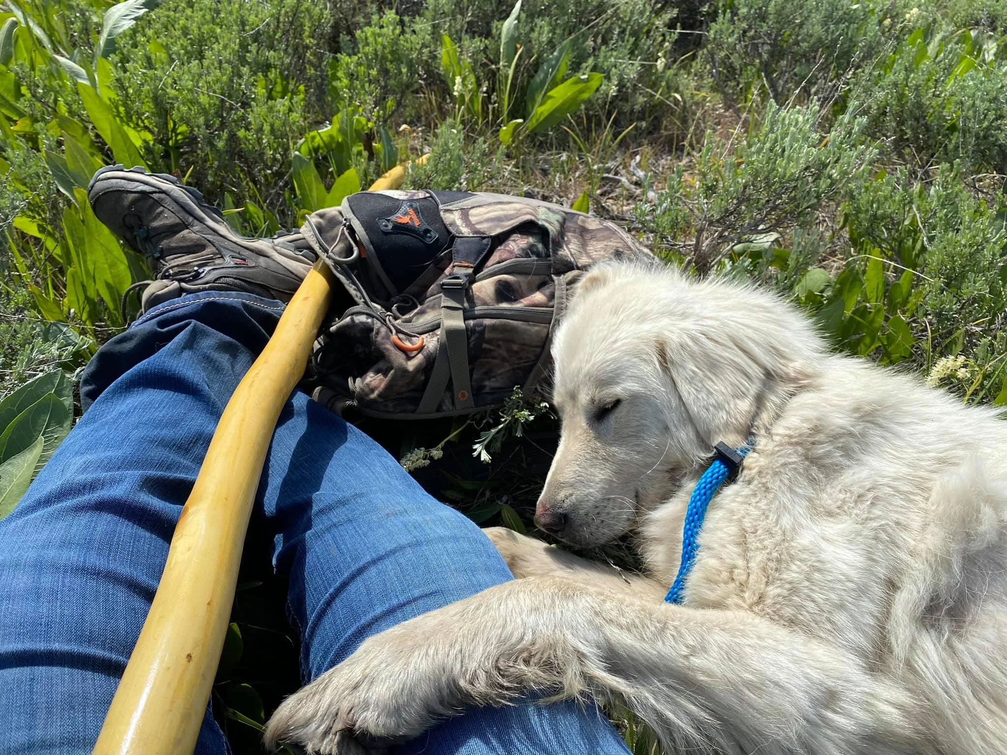 NEVER EVER GIVE UP - MISSING FOR 6 MONTHS - MAY 24, 2020