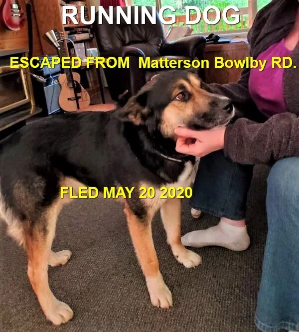 UNRESOLVED -  ERRINGTON BC - MAY 20, 2020