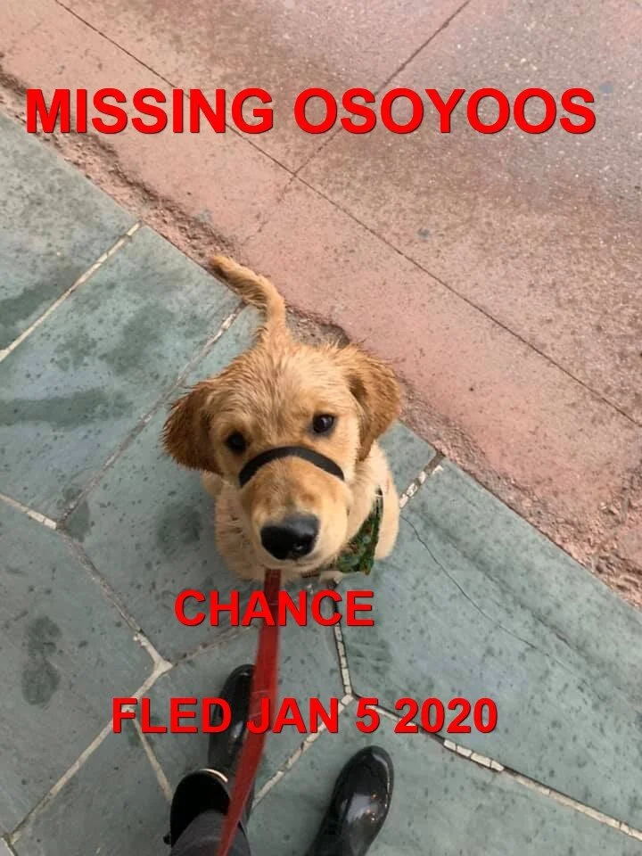 COURTESY POST / HAPPY ENDINGS - OSOYOOS BC - JAN 5, 2020 