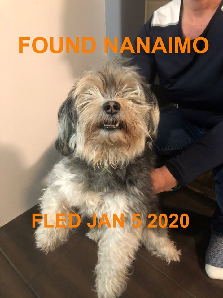 HAPPY ENDINGS - NANAIMO BC - JAN 5, 2020