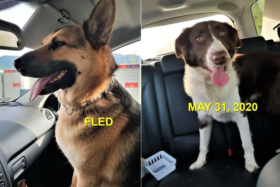 HAPPY EINDINGS - NANAIMO BC - MAY 31, 2020