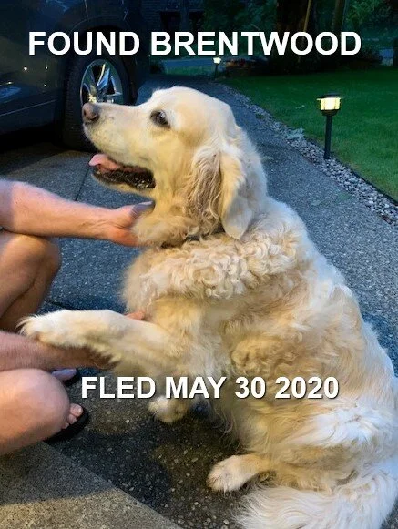 HAPPY ENDING - BRENTWOOD BAY BC - May 30, 2020