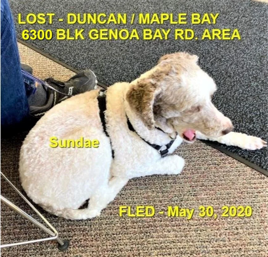 HAPPY ENDING - DUNCAN BC - MAY 30, 2020