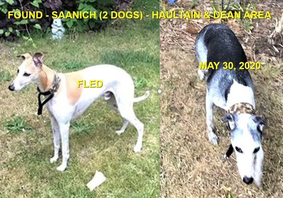 HAPPY ENDING - SAANICH BC - MAY 30, 2020