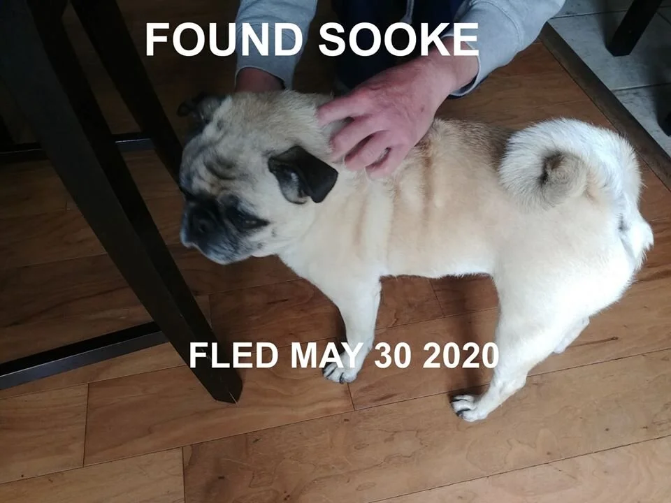 HAPPY ENDING - SOOKE BC - MAY 30, 2020