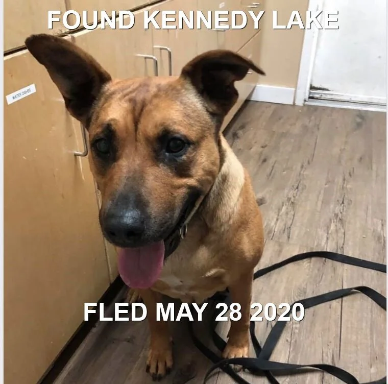 GONE TO SHELTER - PORT ALBERNI BC - MAY 28, 2020