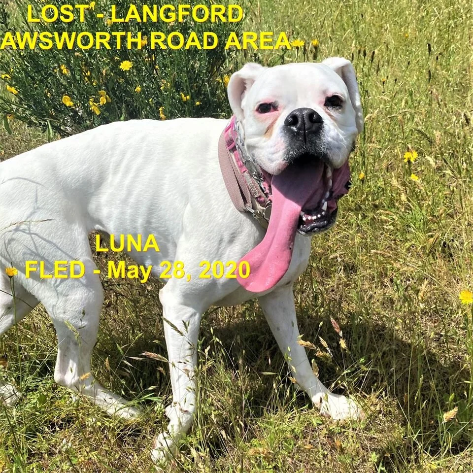 HAPPY ENDING - LANGFORD BC - MAY 28, 2020