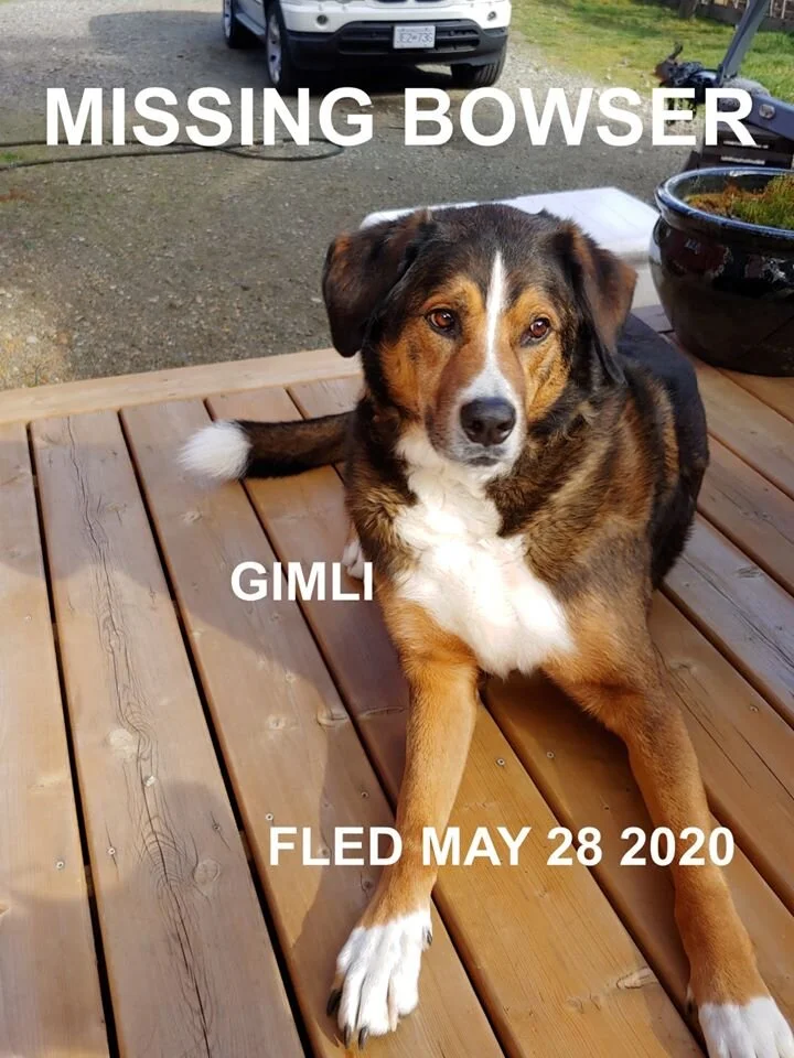 HAPPY ENDING - BOWSER BC - MAY 27, 2020