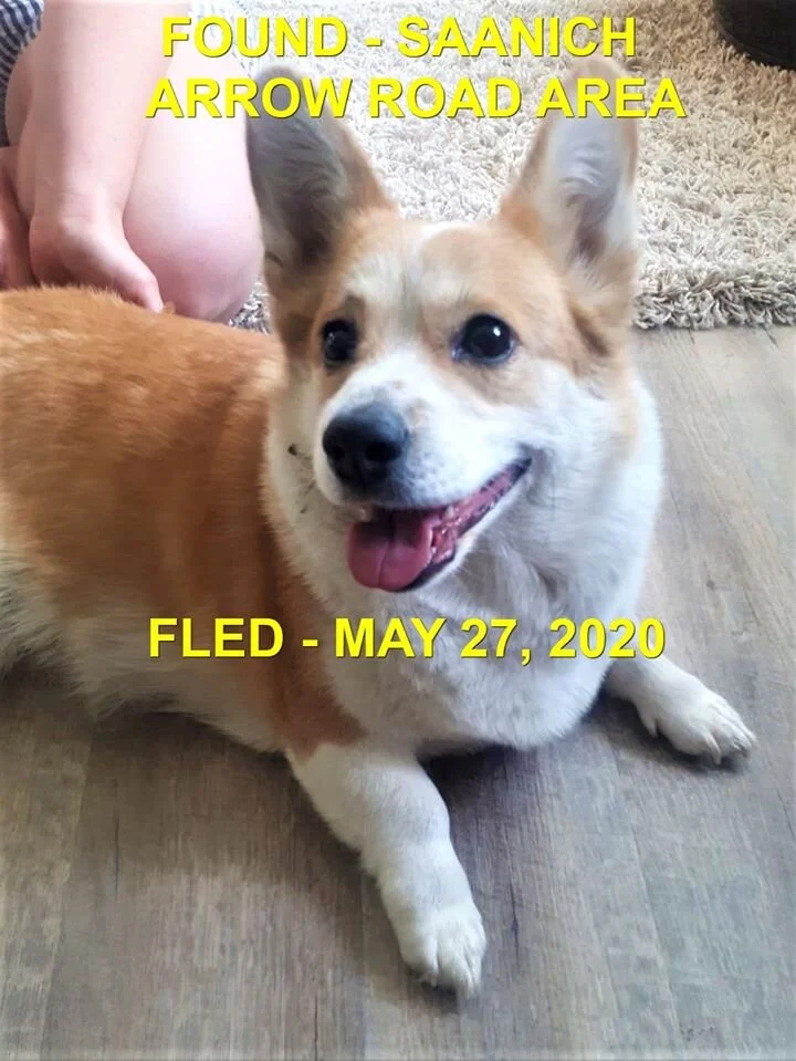 HAPPY ENDING - SAANICH BC - MAY 27, 2020