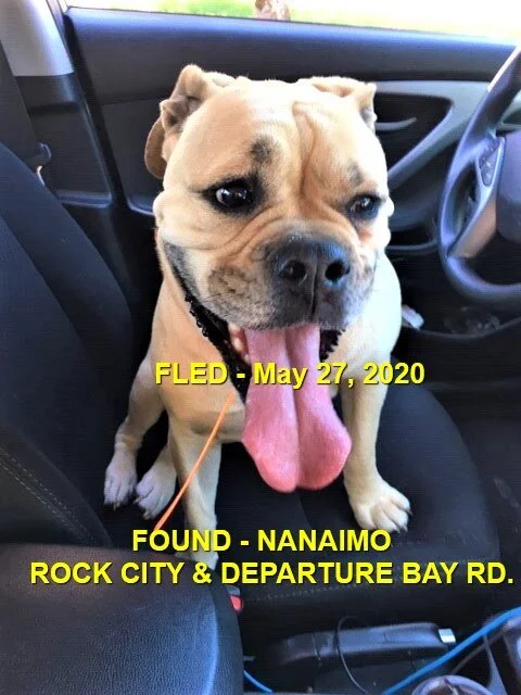 HAPPY ENDING - NANAIMO BC - MAY 27, 2020