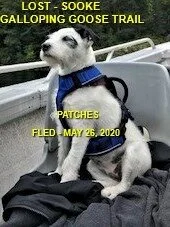 HAPPY ENDING - SOOKE BC - MAY 26, 2020