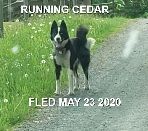 UNRESOLVED - CEDAR BC - MAY 23, 2020