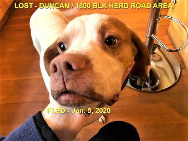 HAPPY ENDING - DUNCAN BC - JAN 5, 2020