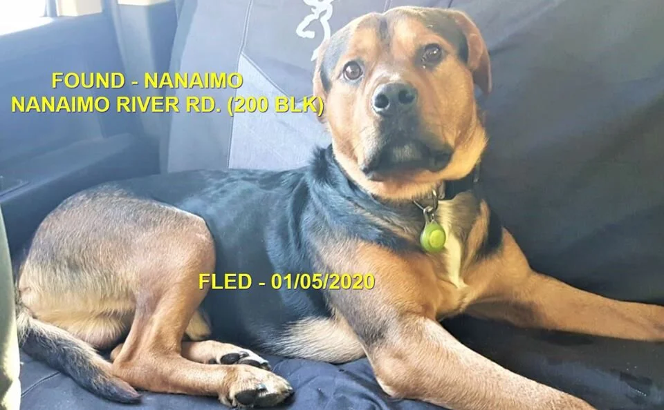 HAPPY ENDING - NANAIMO BC - JAN 5, 2020