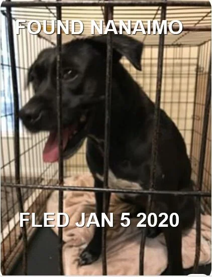 HAPPY ENDING - NANAIMO BC - JAN 5, 2020