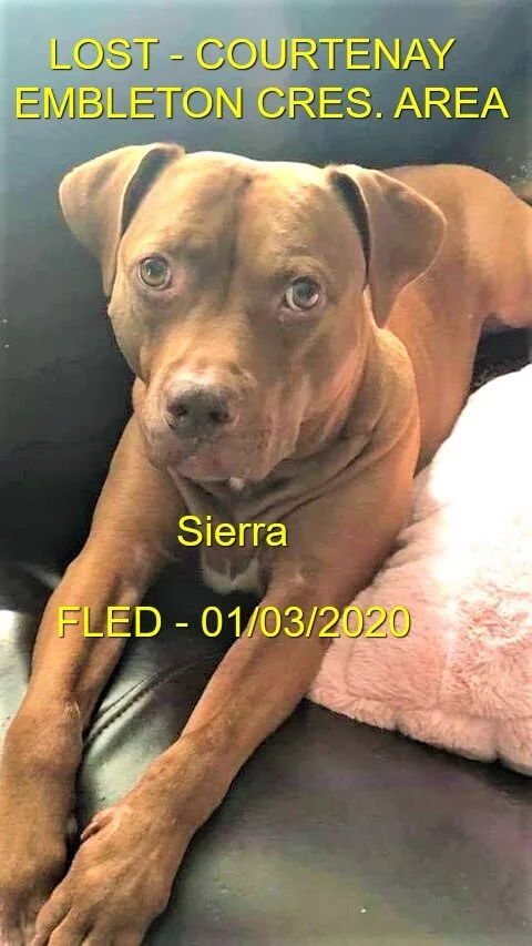 HAPPY ENDING - COURTENAY BC - JAN 3, 2020