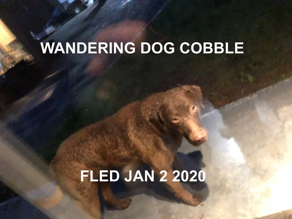 HAPPY ENDING - COBBLE HILL BC - JAN 2, 2020