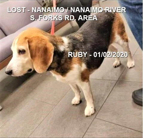 HAPPY ENDING - NANAIMO BC - JAN 1, 2020