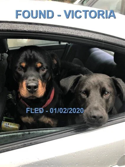 HAPPY ENDING - VICTORIA BC - JAN 2, 2020