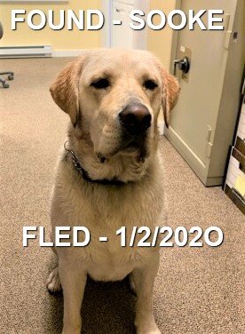 HAPPY ENDING - SOOKE BC - JAN 2, 2020