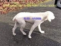 UNRESOLVED - SOOKE BC - JAN 1, 2020