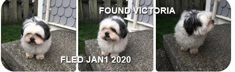 HAPPY ENDING - VICTORIA BC - JAN 1, 2020