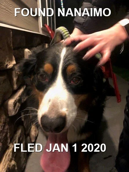 HAPPY ENDING - NANAIMO BC - JAN 1, 2020