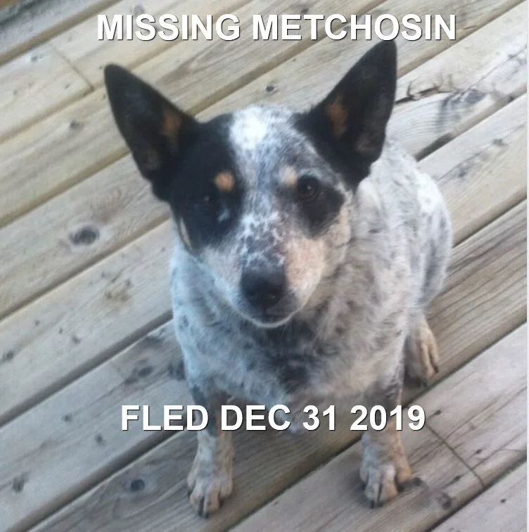 HAPPY ENDING - METCHOSIN BC - DEC. 31, 2019