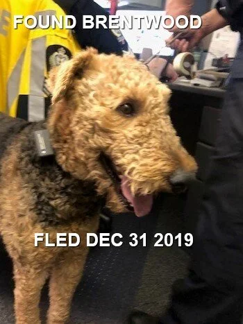 HAPPY ENDING - BRENTWOOD BAY, BC - DEC 31, 2019