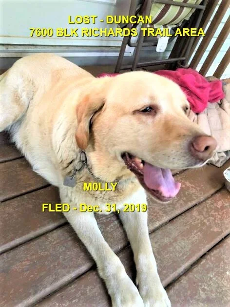 HAPPY ENDING - DUNCAN BC  - DEC 31, 2019