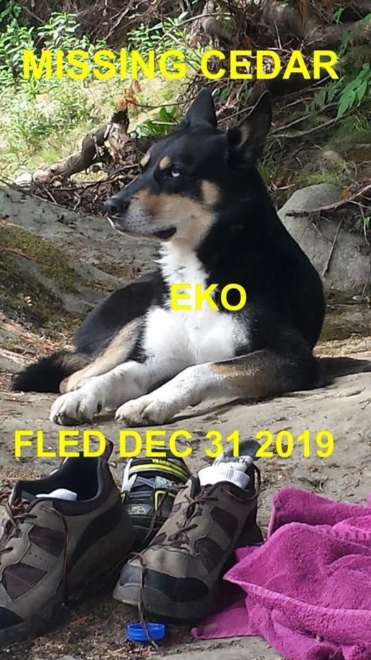 HAPPY ENDING - CEDAR BC -DEC 30, 2019