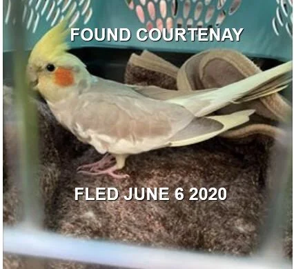 HAPPY ENDING - COURTENAY BC - JUNE 6, 2020