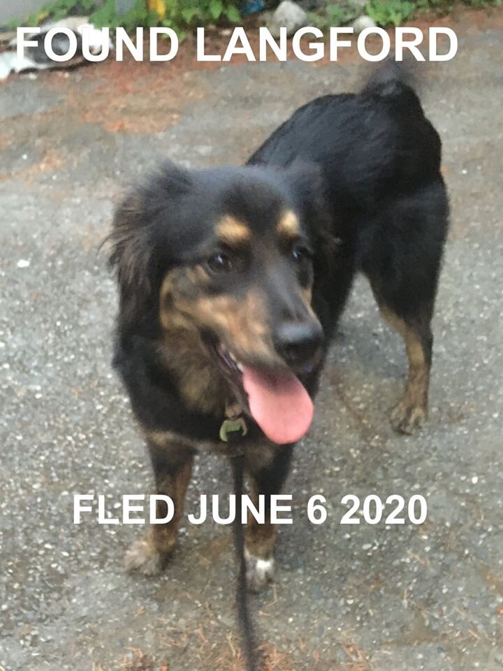 HAPPY ENDINGS - LANGFORD BC - JUNE 5, 2020