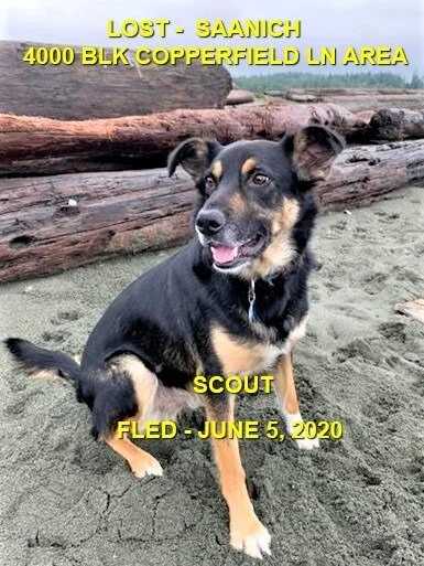 HAPPY ENDINGS - SAANICH BC - JUNE 5, 2020