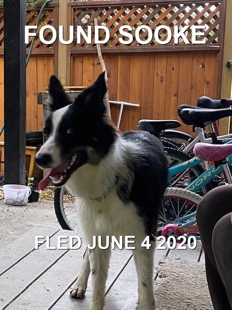 HAPPY ENDINGS - SOOKE BC - JUNE 4, 2020