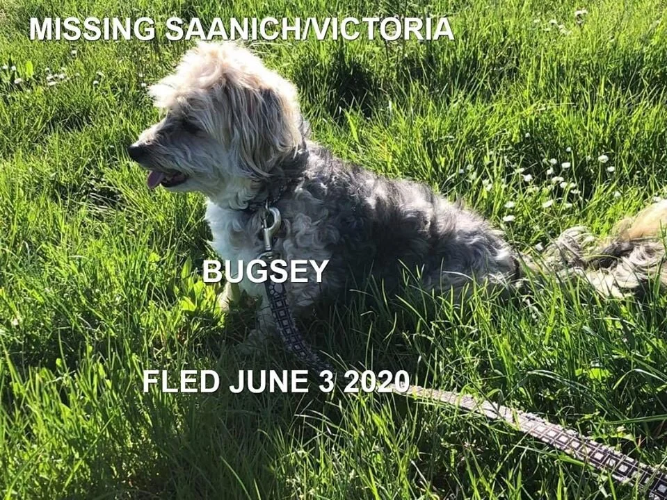 HAPPY ENDINGS - SAANICH - JUNE 2, 2020