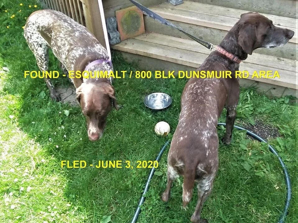 HAPPY ENDINGS - ESQUIMALT BC - JUNE 3, 2020