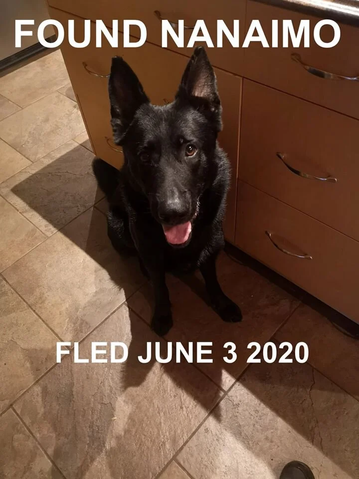 HAPPY ENDINGS - NANAIMO BC - JUNE 3, 2020