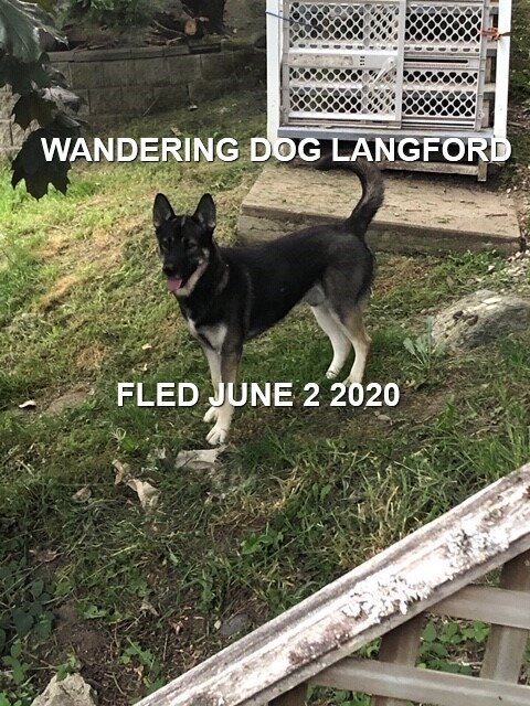 HAPPY ENDINGS - LANGFORD BC - JUNE 2, 2020