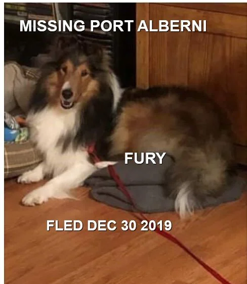 HAPPY ENDINGS - PORT ALBERNI - FOUND JAN 5, 2020