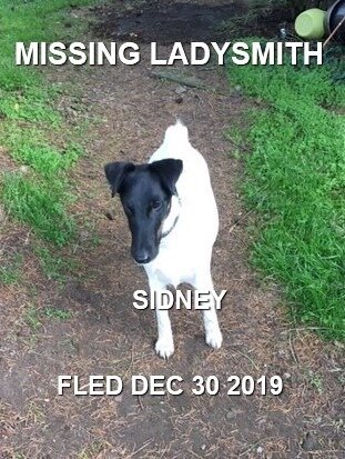 HAPPY ENDINGS - LADYSMITH BC - DEC. 30, 2019