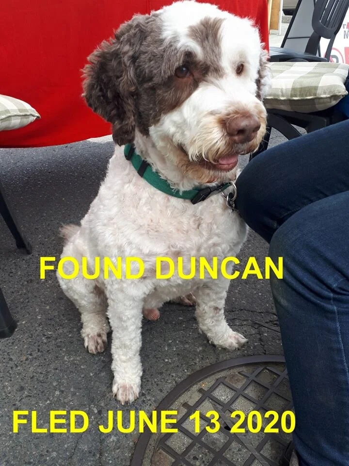 HAPPY ENDINGS - DUNCAN BC - JUNE 13, 2020