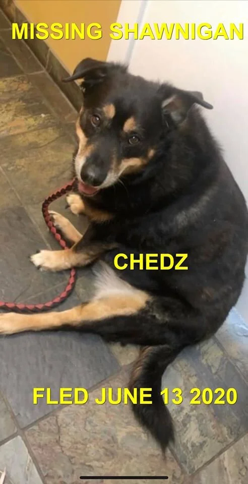 HAPPY ENDINGS - SHAWNIGAN LAKE BC - JUNE 13, 2020