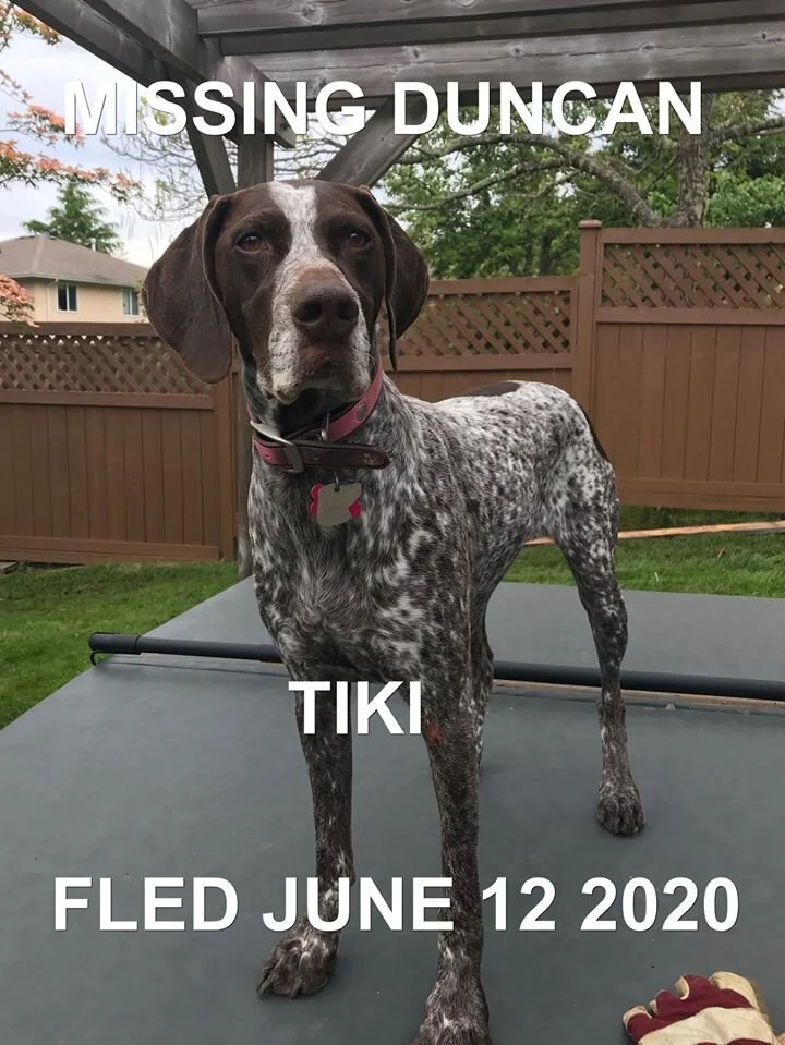 HAPPY ENDINGS -  DUNCAN BC - JUNE 12, 2020