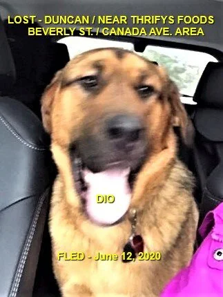 HAPPY ENDINGS - DUNCAN BC -  JUNE 12, 2020