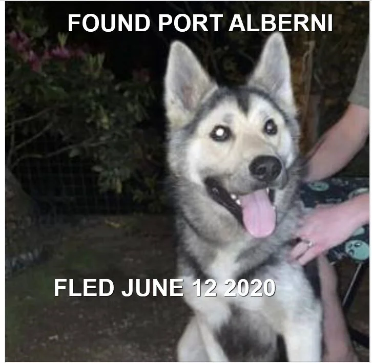 HAPPY ENDINGS - PORT ALBERNI BC - JUNE 12, 2020